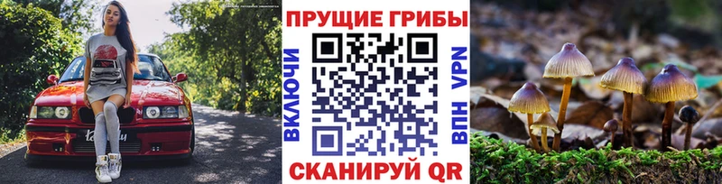 Псилоцибиновые грибы мицелий  купить  сайты  Краснослободск 
